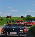 Mei Oldtimerrit op 13-5-2012 organisatie Eleonore en Guido Vanoppen (131)